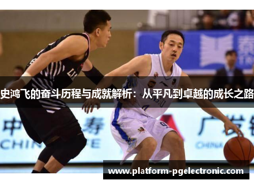 史鸿飞的奋斗历程与成就解析：从平凡到卓越的成长之路