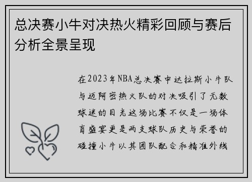 总决赛小牛对决热火精彩回顾与赛后分析全景呈现